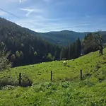 Gruenjuwel