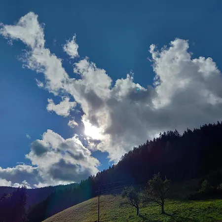 Grünjuwel * Himmelberg