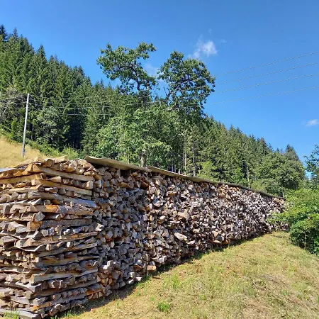 Apartmán Gruenjuwel Himmelberg