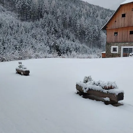 Apartmán Gruenjuwel Himmelberg