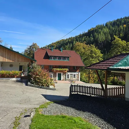Gruenjuwel Apartment