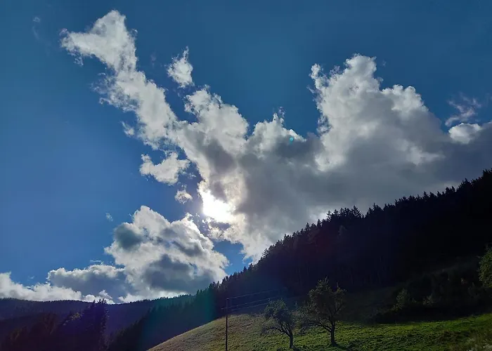 Grünjuwel * Himmelberg