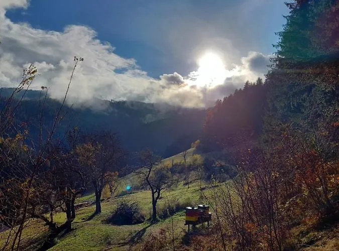 Apartamento Grünjuwel