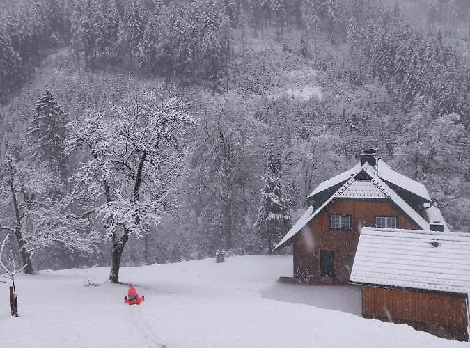 Grünjuwel Apartamento *