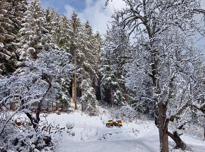 Apartamento Grünjuwel *