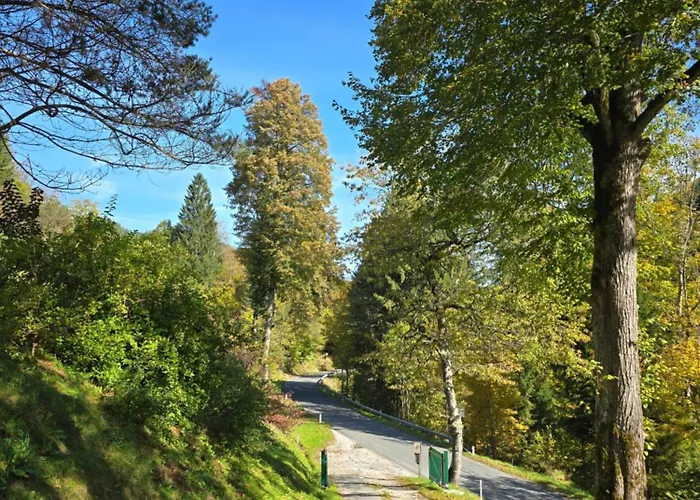 Apartamento Grünjuwel *